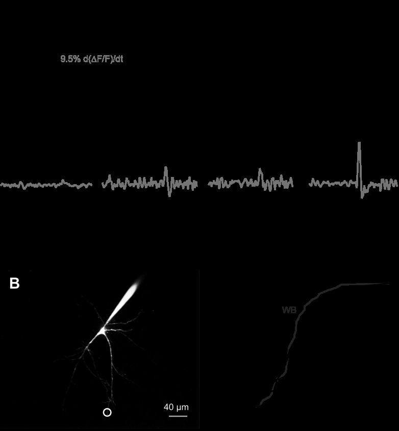 Fig. 4.