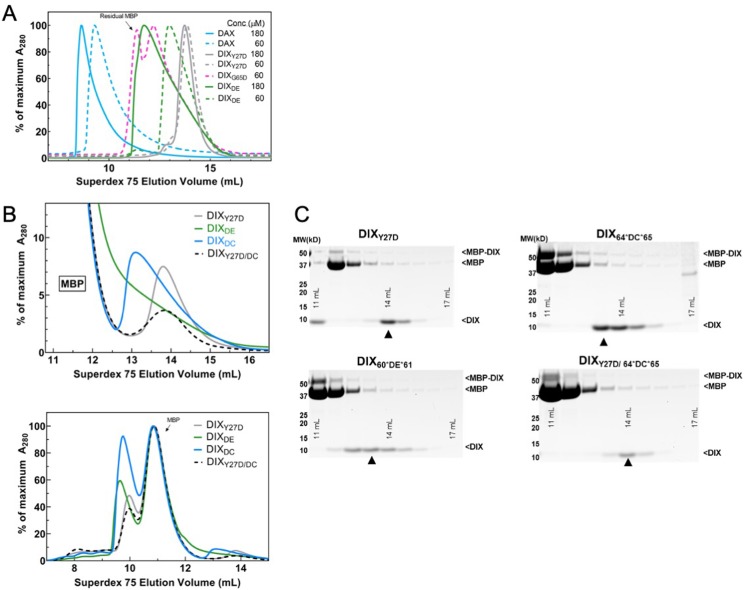 Figure 3—figure supplement 1.