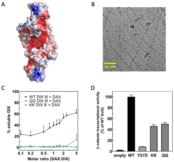 Figure 5—figure supplement 3.