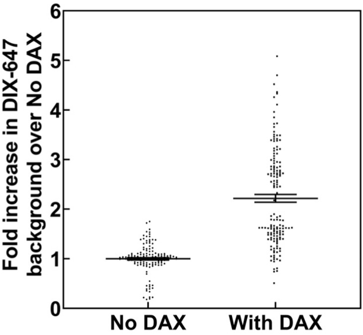 Figure 5—figure supplement 1.