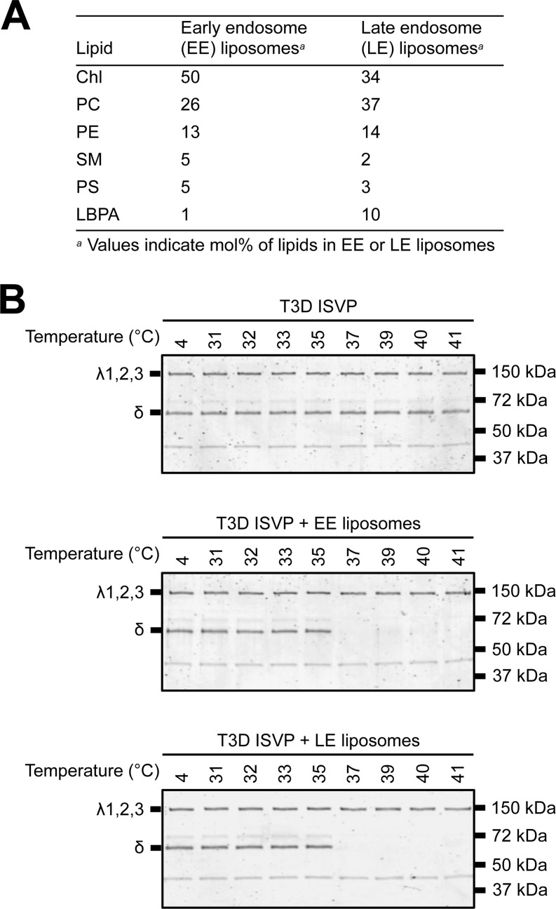 FIG 5