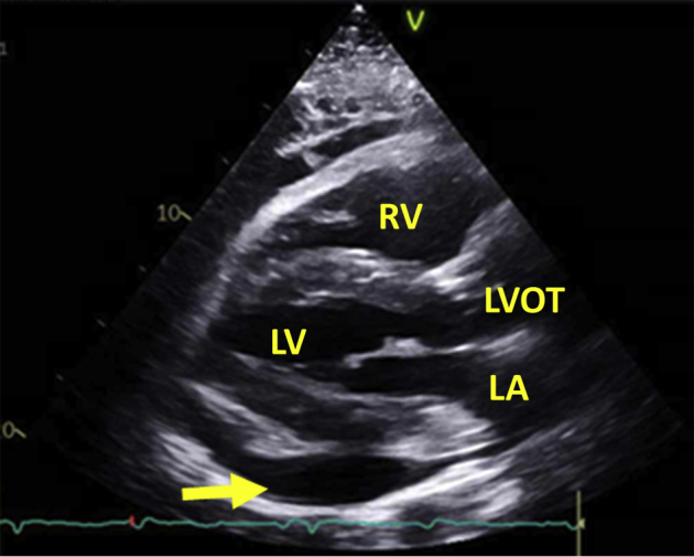 Figure 3