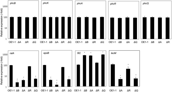 FIGURE 2