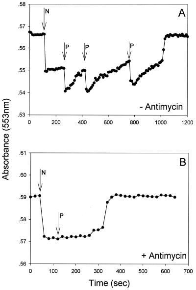 FIG. 3