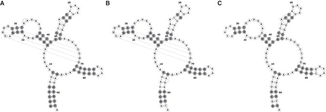 FIGURE 6.