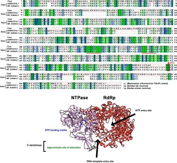 FIG 10