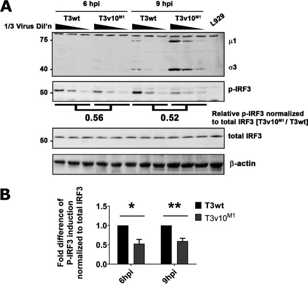 FIG 8