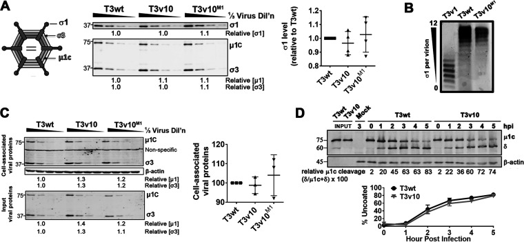 FIG 2