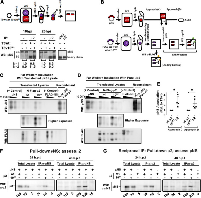 FIG 6