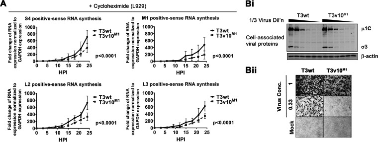 FIG 4