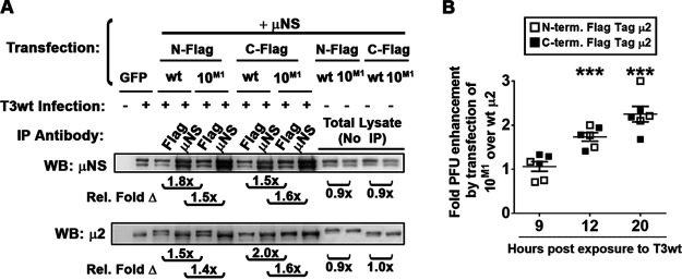 FIG 7