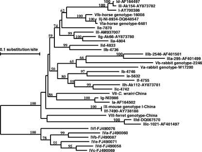 FIG. 2.