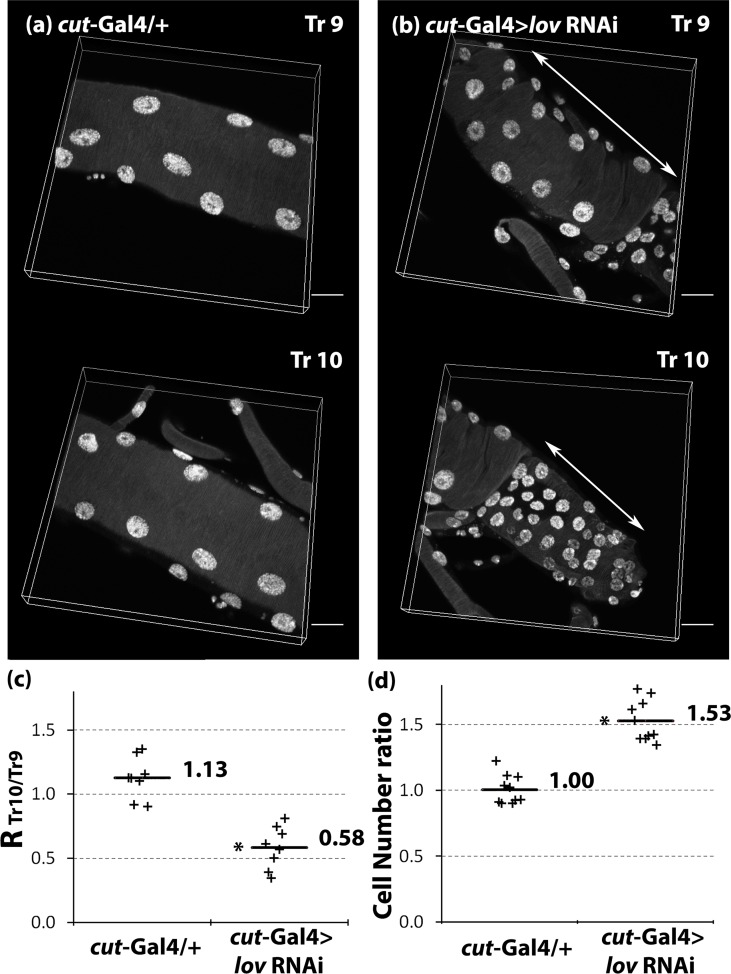 Fig 10