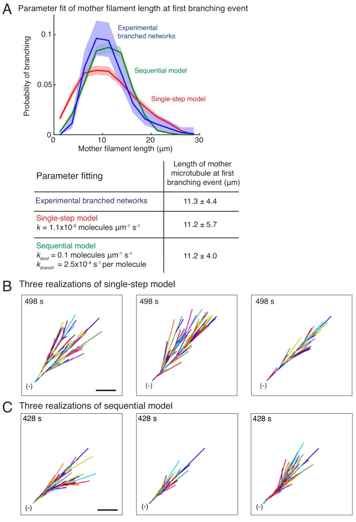 Figure 1—figure supplement 3.