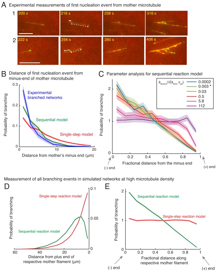 Figure 2—figure supplement 1.