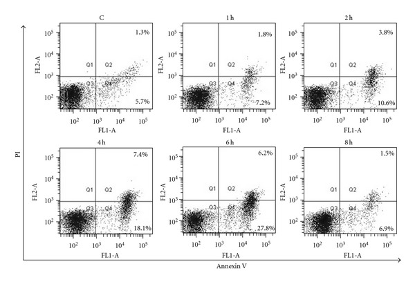 Figure 5