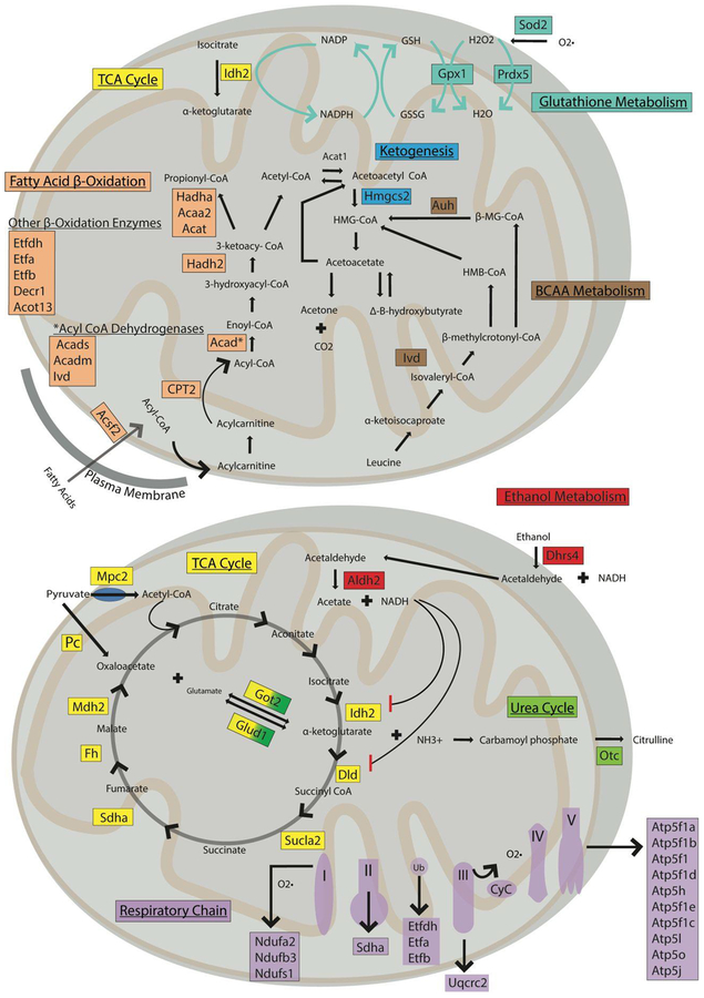 Figure 10.