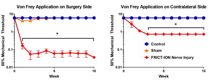 Figure 11.