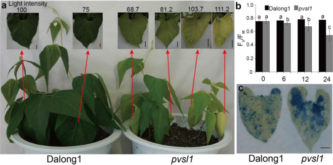 Fig. 4