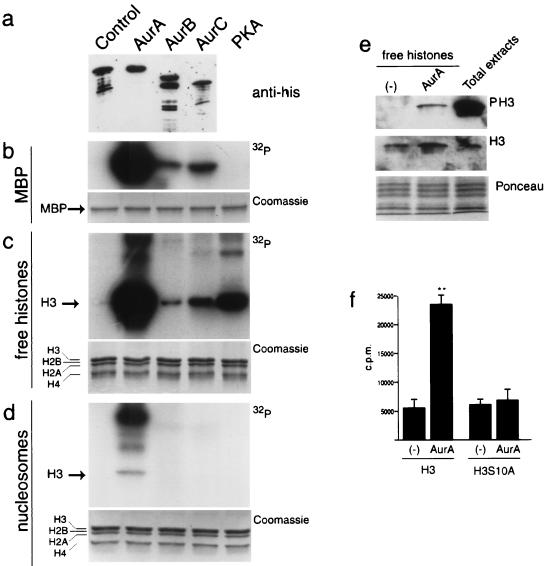 FIG. 8.