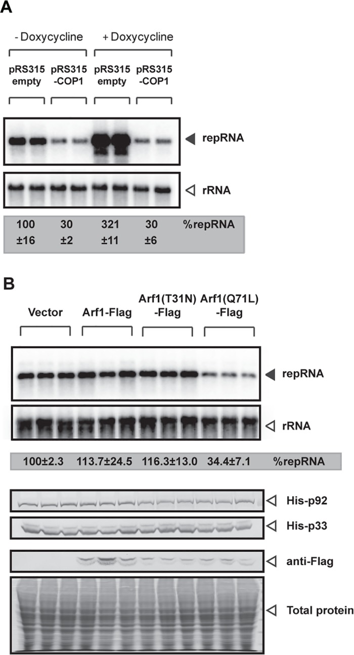 Fig 11