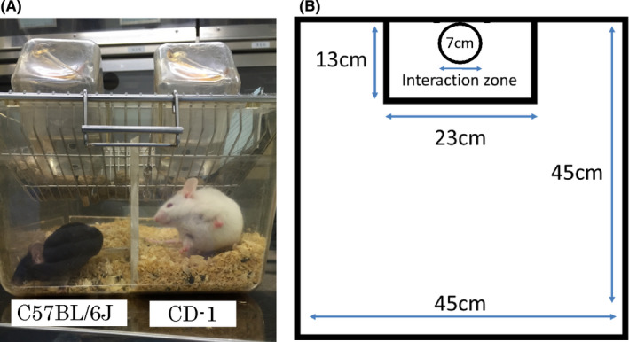 FIGURE 2