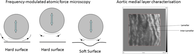 graphic file with name fx1.gif