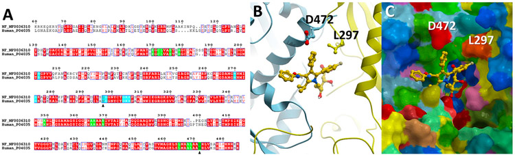 Figure 1.