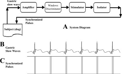 Fig. 2.