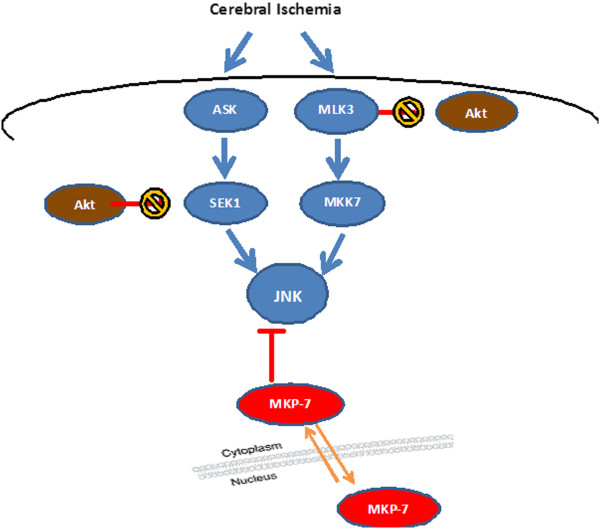 Figure 7