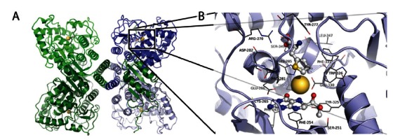 Fig. (2)