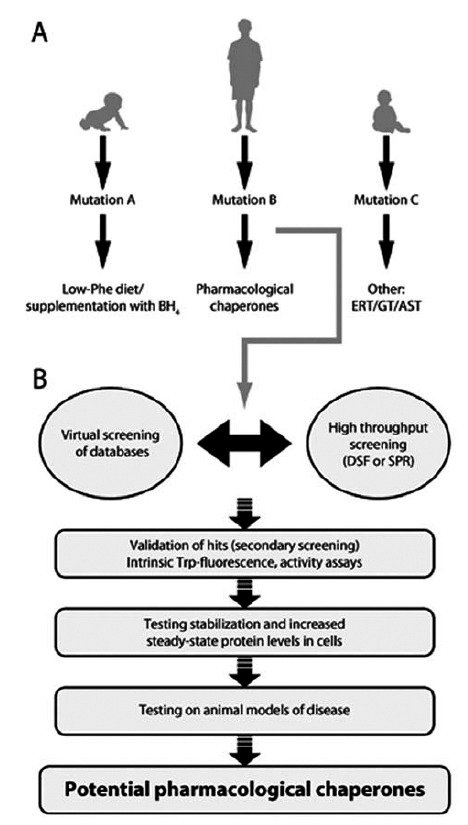 Fig. (6)