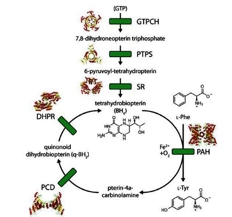 Fig. (1)