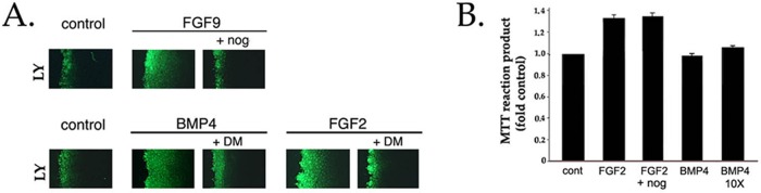 FIGURE 9: