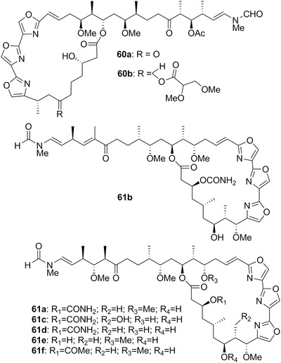 Figure 17