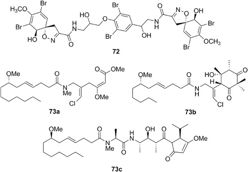 Figure 21