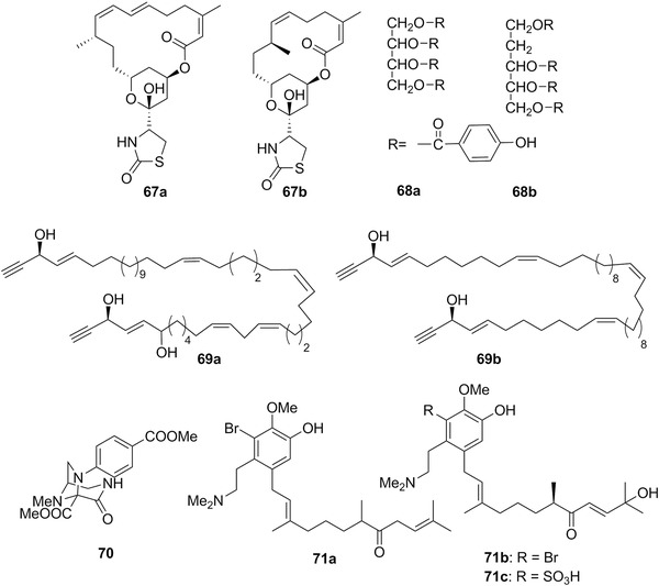 Figure 20