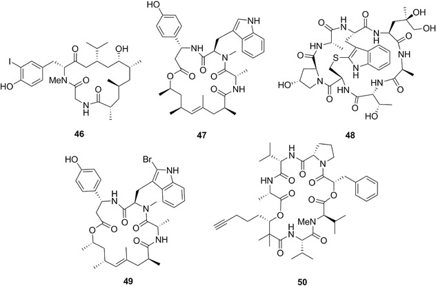 Figure 13