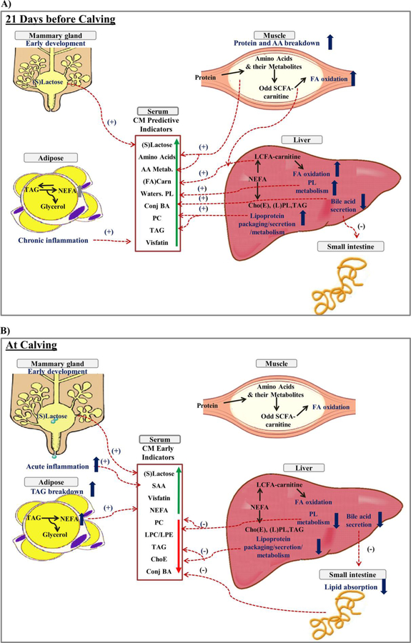 Figure 6.