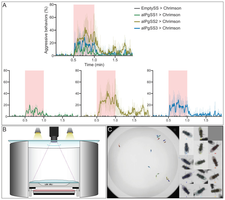 Figure 1—figure supplement 3.