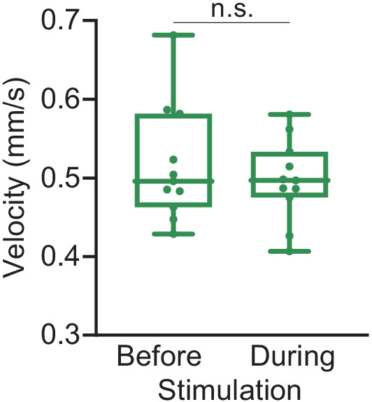 Figure 2—figure supplement 2.