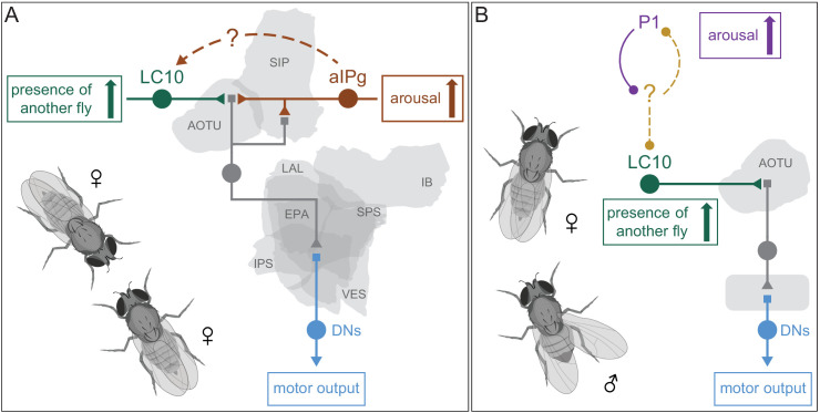 Figure 12.