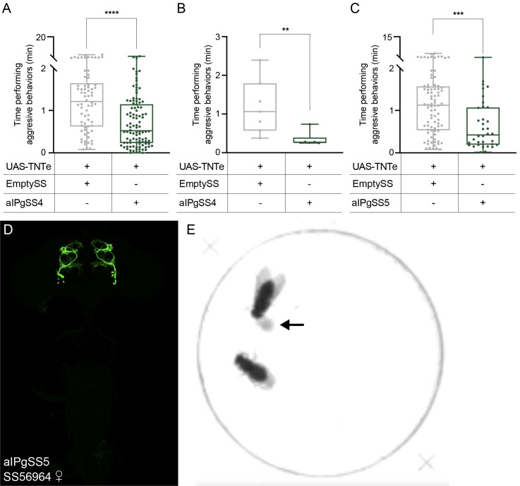 Figure 1—figure supplement 10.