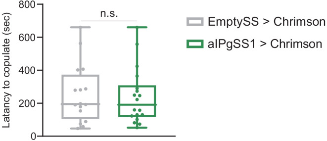 Figure 2—figure supplement 3.