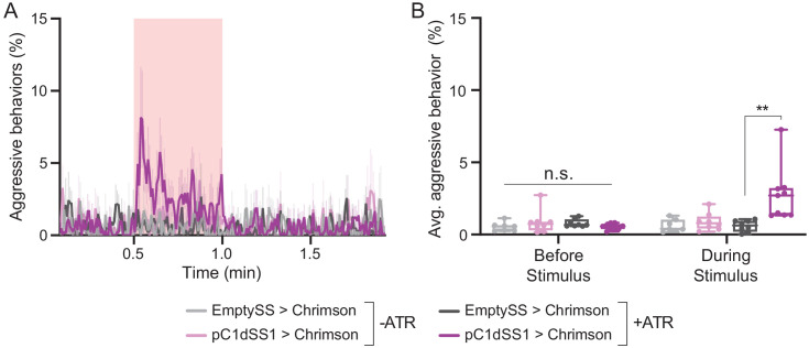 Figure 4—figure supplement 8.