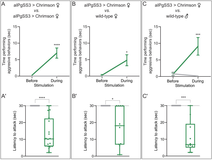 Figure 2—figure supplement 1.