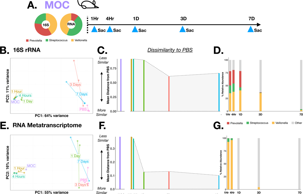 Figure 6: