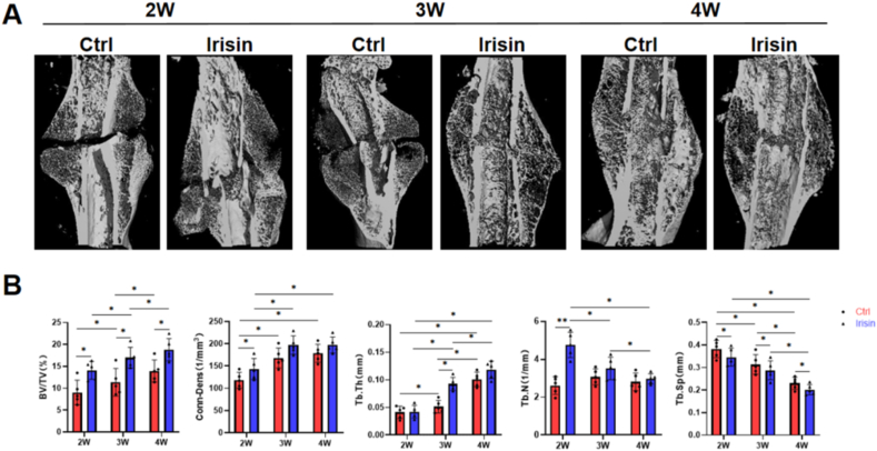 Fig. 2