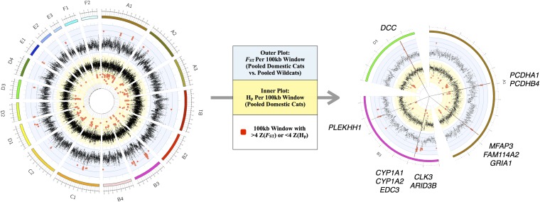 Fig. 2.