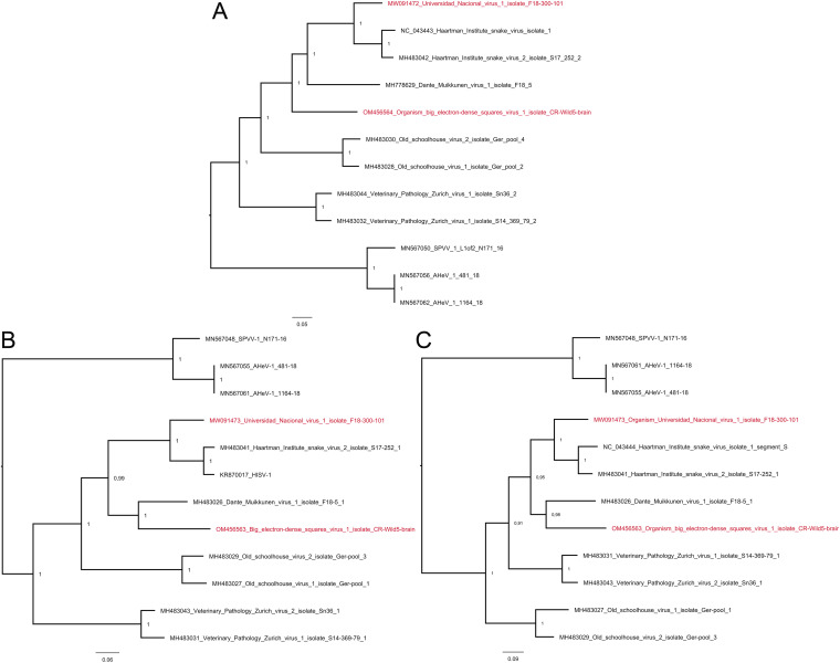 FIG 6